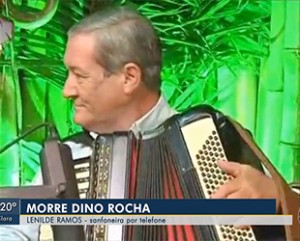dino-rocha