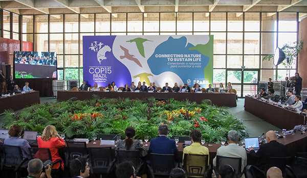 Nelsinho Trad destaca impacto econômico e ambiental na abertura da COP15