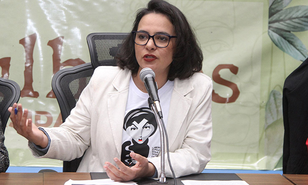 Gleice Jane promove hoje audiência sobre proteção a mulheres em MS