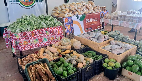 Prefeitura já entregou 76 toneladas de alimentos a indígenas e quilombolas