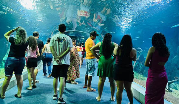 Bioparque Pantanal vai sediar evento nacional de zoológicos e aquários