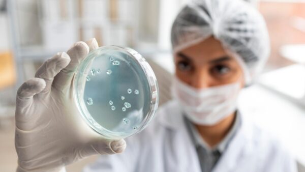UFMS alerta para riscos da Salmonella e reforça cuidados na manipulação de alimentos