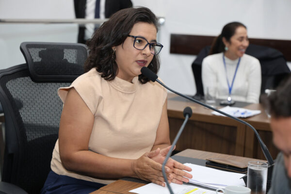 Gleice aciona MPF após denúncia de promessa de emendas onde Flávio Bolsonaro tiver mais votos